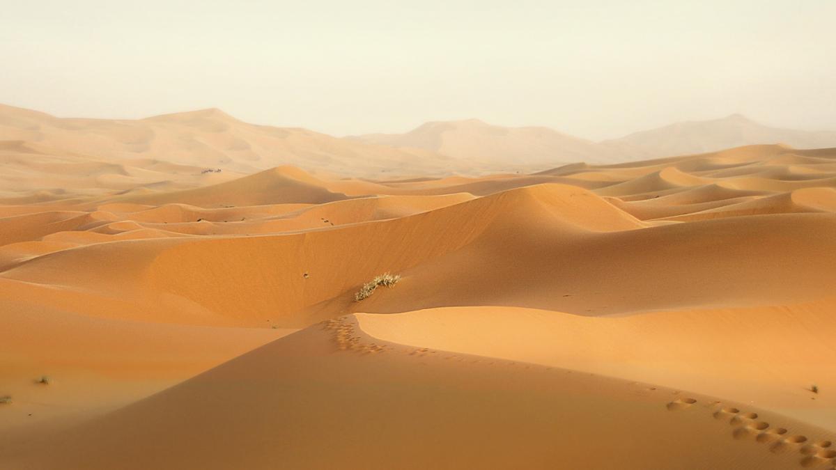 Le Sahara grignote peu à peu le Sahel qui le borde.