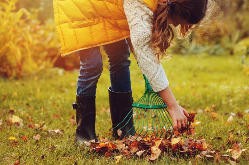 jardin automne feuilles