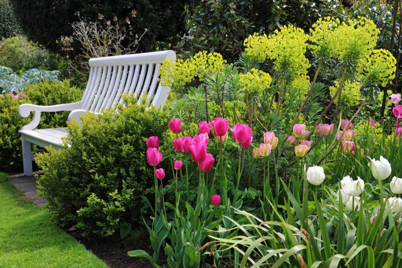 jardin a l'anglaise