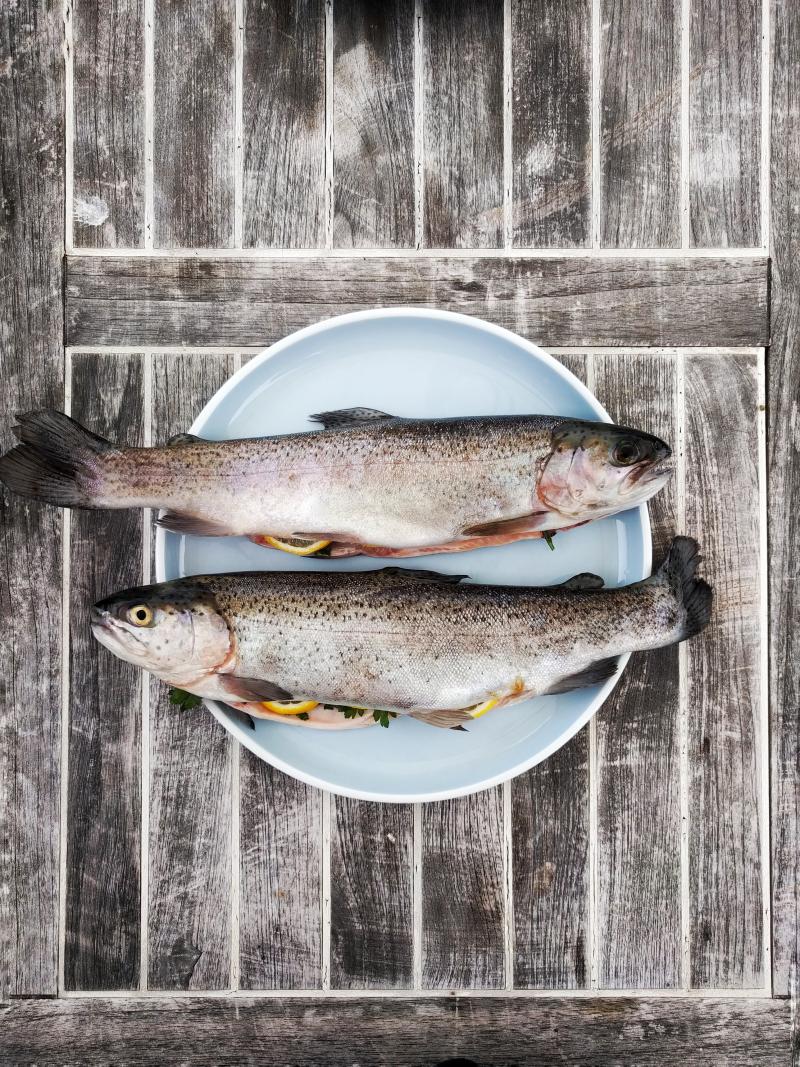 poissons crus dans une assiette