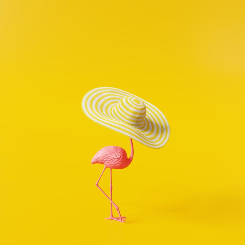 chapeau flamand rose