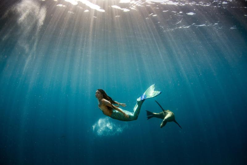 sirène dans la mer