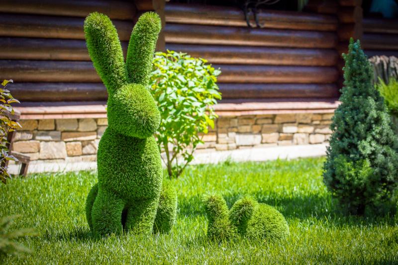 lapins plantes art topiaire