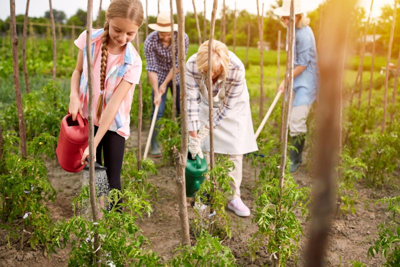 jardins familiaux