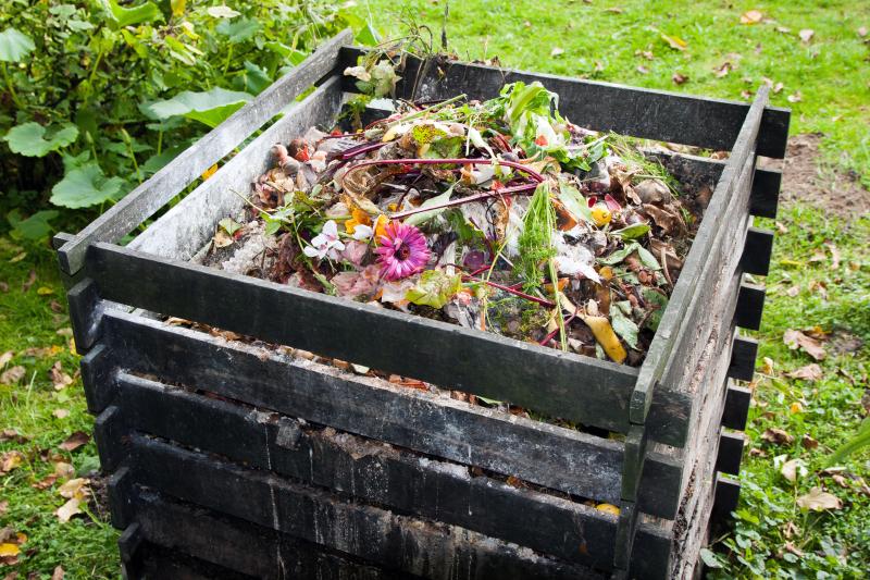 compost