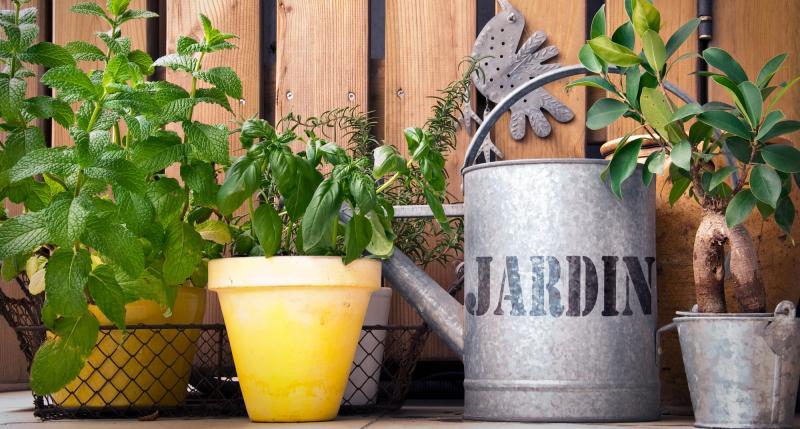 Jardinage