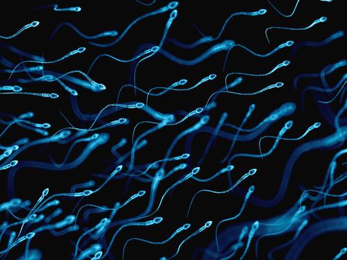 fertilité sperme test 