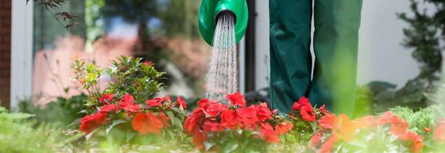 arroser jardin