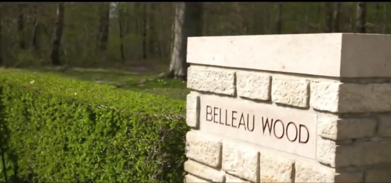 Le bois Belleau, dont est originaire l'arbre offert à Donald Trump
