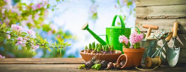jardinage