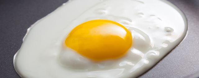 Il se fait cuire un uf pendant l'Open d'Australie