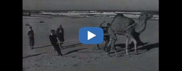 Une manière insolite de skier 