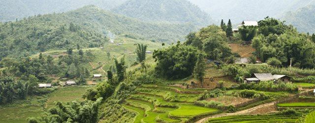 Prêt pour une virée au Vietnam ? 