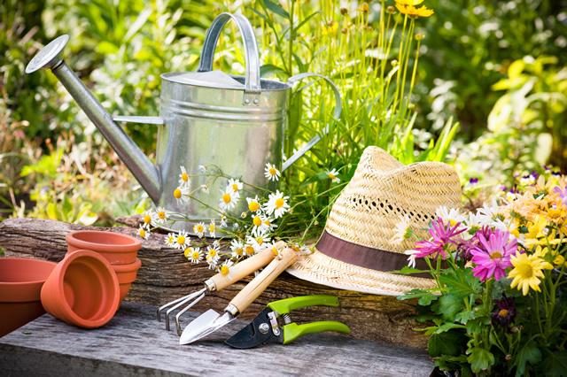 Les outils de jardin