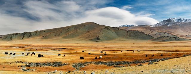 En route pour la Mongolie