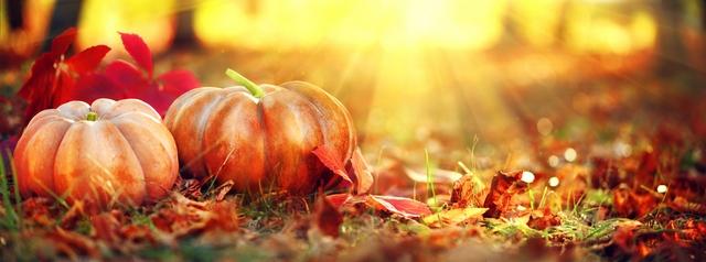 automne jardin