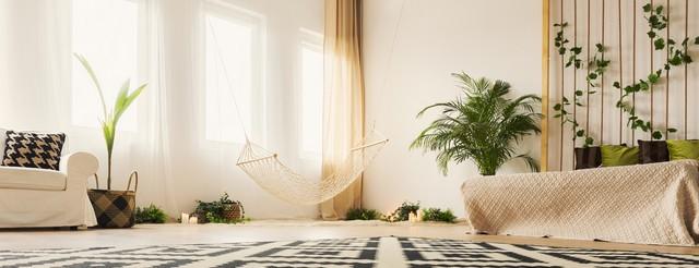 plantes vertes originales