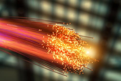 fibre 