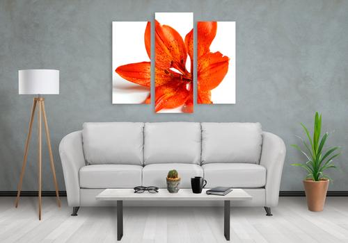décoration intérieure