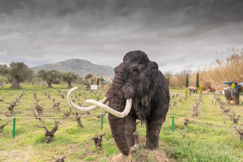 Le mammouth laineux a disparu il y a 4 000 ans.