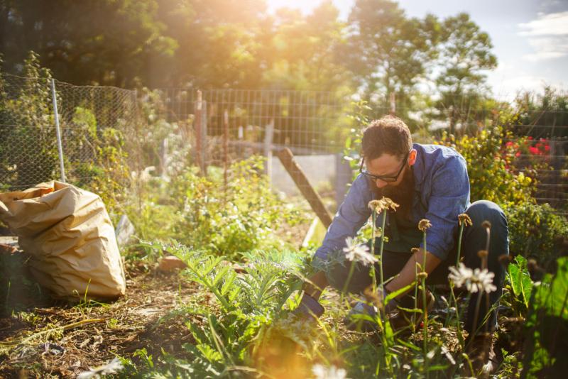 Comment désherber au vinaigre blanc son jardin ?