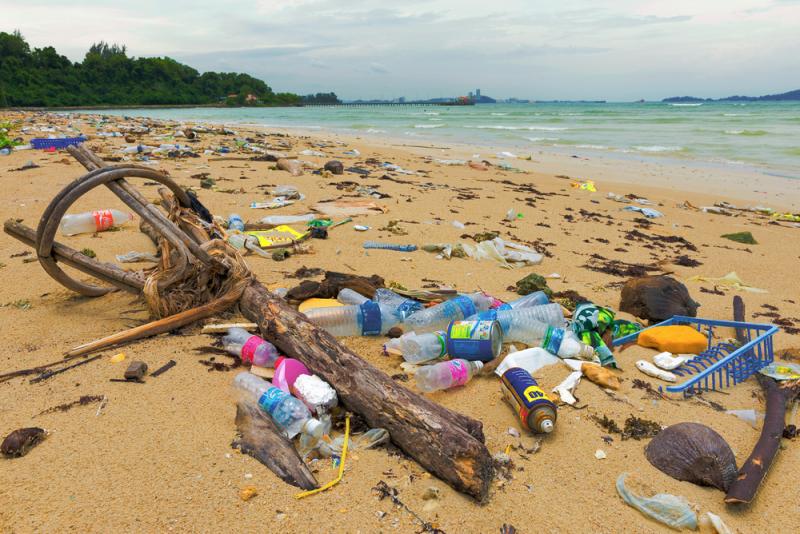 Les Seabin aspirent en moyenne 1,5 kilo de déchets qui flottent par jour.