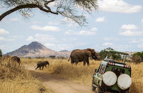 safari au Kenya