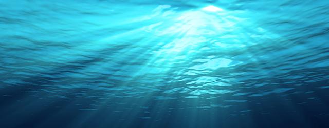 Plongeons dans la vie sous-marine