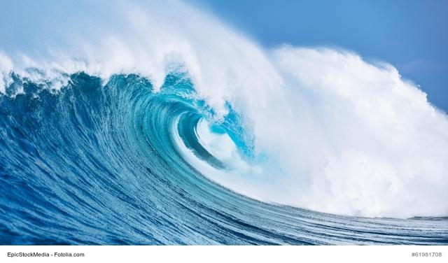 surf