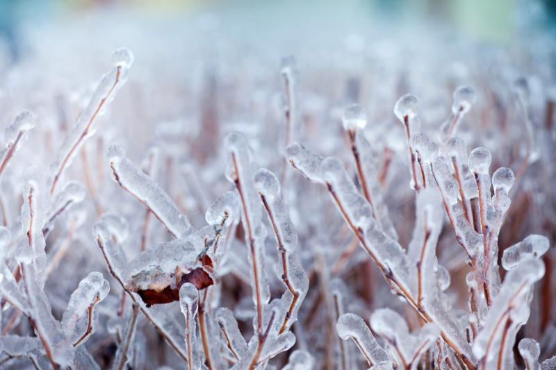 Inondation de Glace