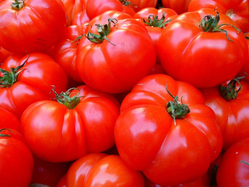 tomates-goût