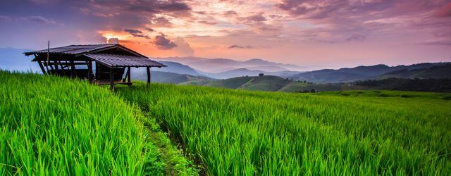 À la découverte de Chiang Mai