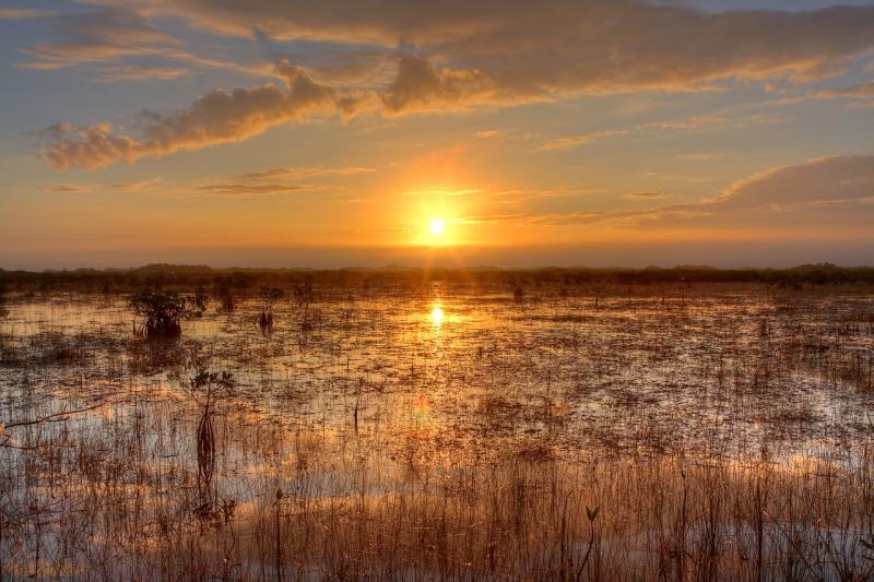 everglade floride protection parc naturel