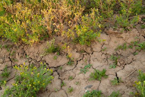 Le réchauffement climatique est pour bientôt (c) Shutterstock