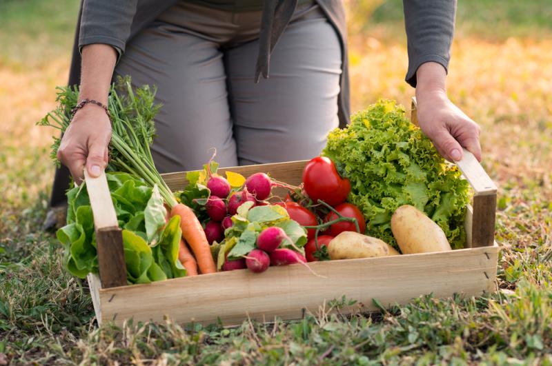 Jardiner, c'est bon pour la santé, mais aussi pour le porte-monnaie.