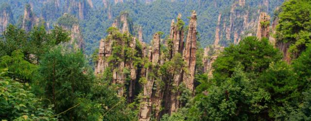 Zhangjiajie, un superbe parc forestier chinois !