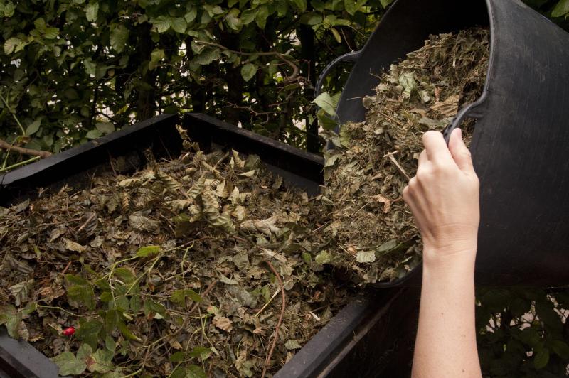 Compost