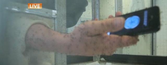 Les applications mobiles anti-moustiques sont-elles efficaces?
