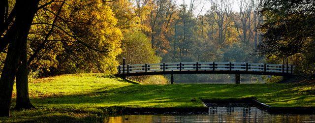 Paysage d'automne en Hollande 