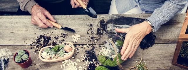 terrarium DIY