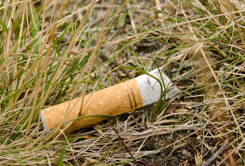 Rien qu'à Paris, 2 milliards de mégots sont jetés par an.