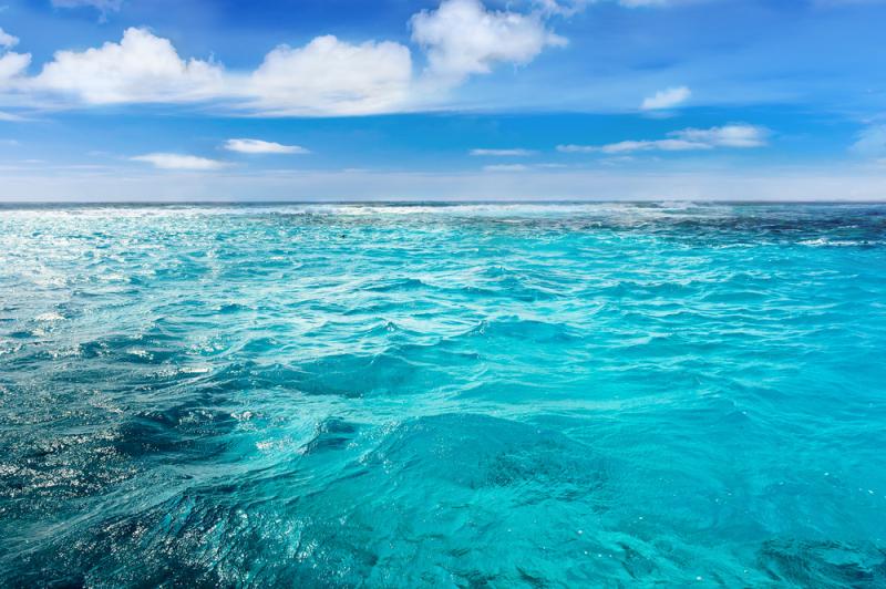 mer-australie-attaque-danger-creatures-vacances-blessure