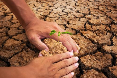 Cop22 : quelles avancées concernant le réchauffement climatique ? (c) Shutterstock
