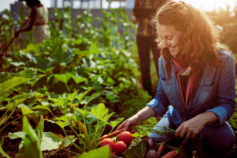 potager femme