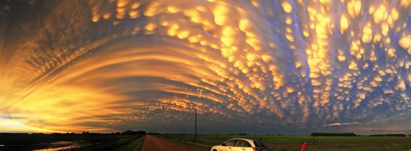 mammatus