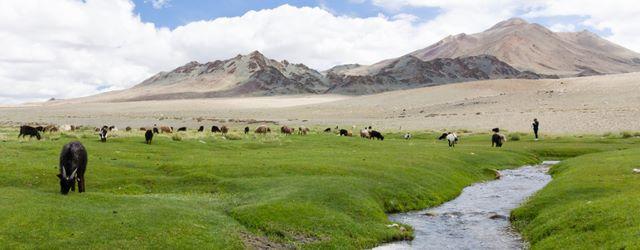 Voyage poétique en Mongolie