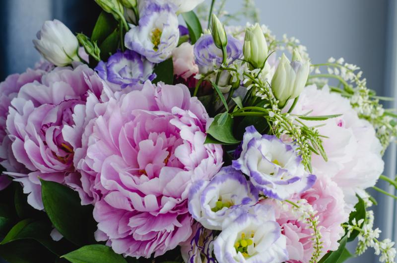 fleurs coupées