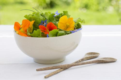 capucine salade