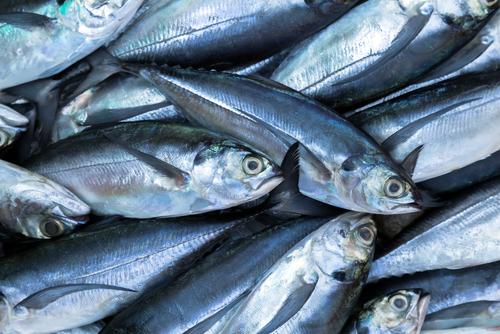 Les dégâts de l'aquaculture (c) Shutterstock