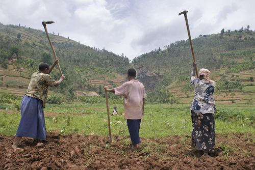 agriculture en Afrique 